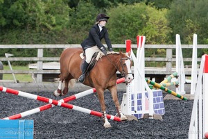 Class 3 -  Fences not above 2'3